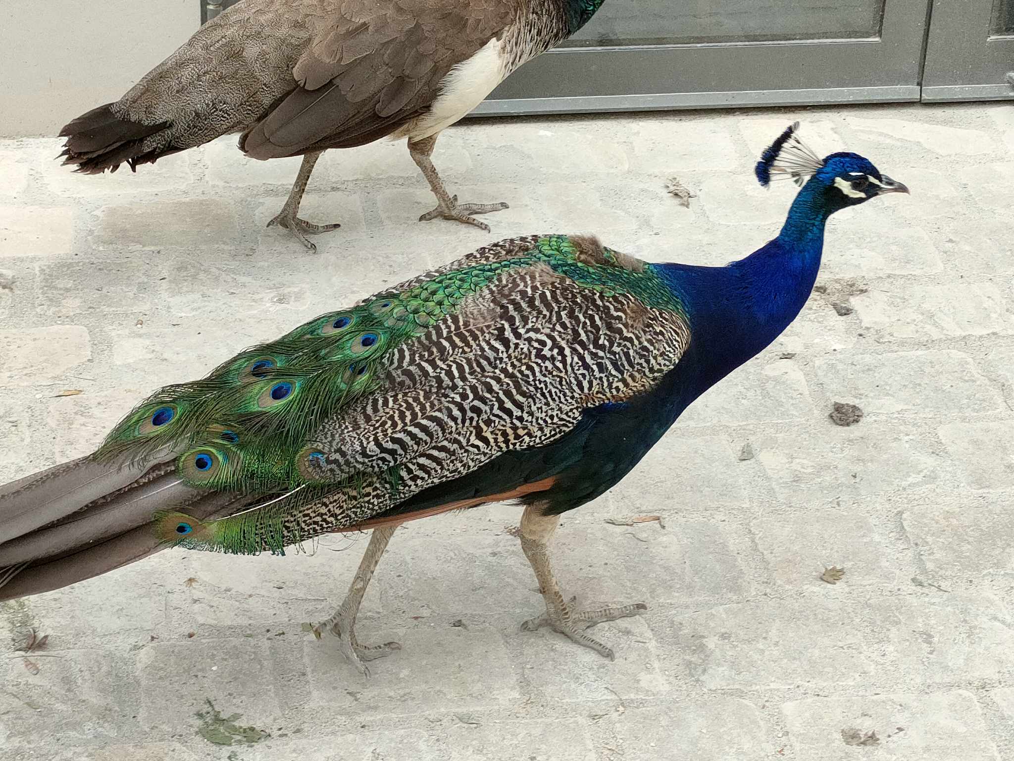 Photo n° 4 de l'avis de Benjamin.o fait le 22/08/2023 à 08:46