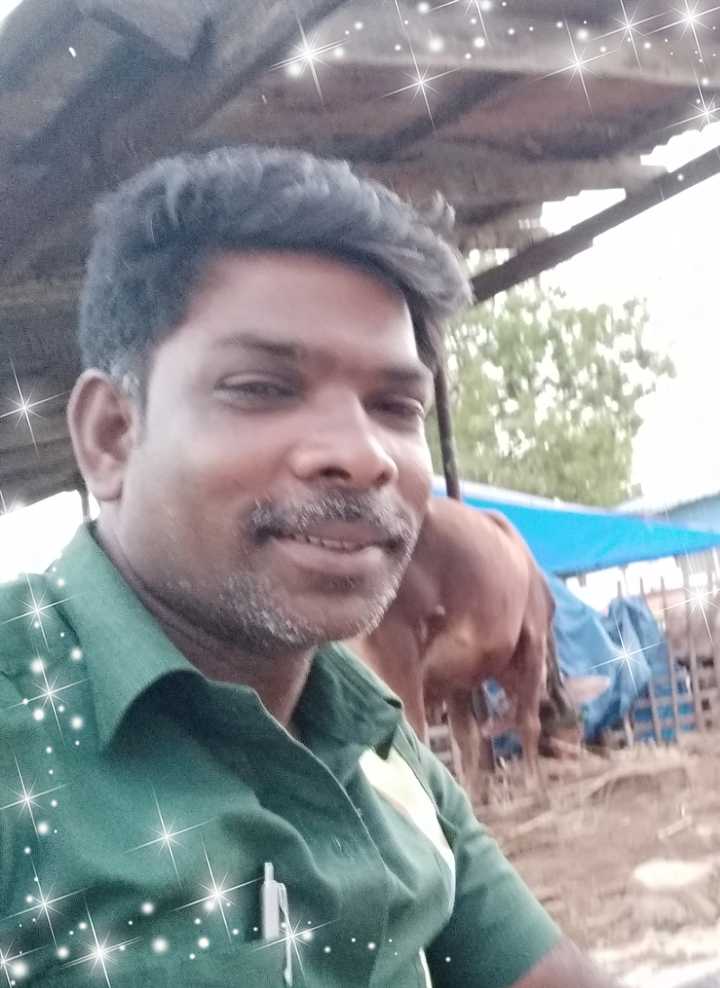 Raja Painter