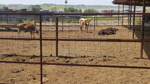 Meat Wholesaler «Lizze Custom Processing», reviews and photos, 7310 Pine Ave, Chino, CA 91708, USA