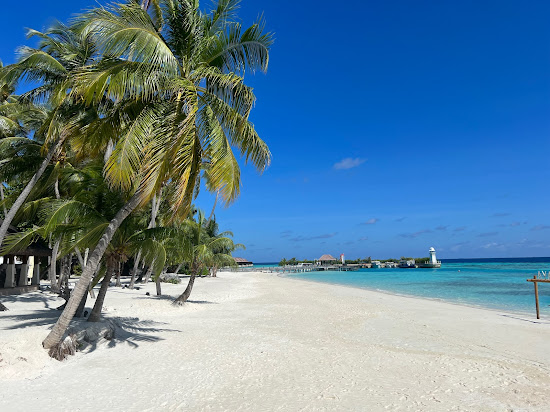 Maguhdhuvaa Resort Beach
