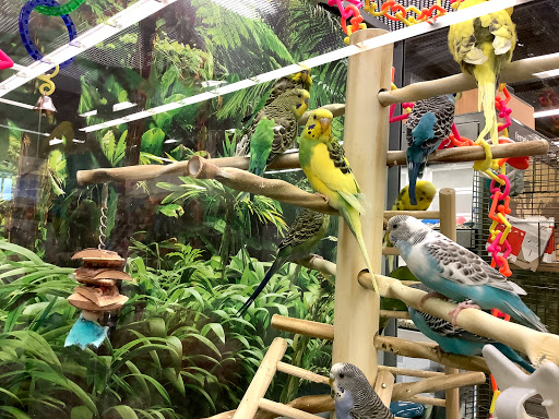 Pet Supply Store «Petco Animal Supplies», reviews and photos, 4913 Main St, Spring Hill, TN 37174, USA