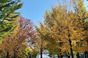 Okazato Park image