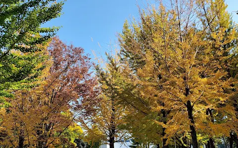 Okazato Park image