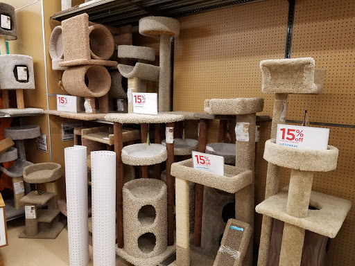 Pet Supply Store «Petco Animal Supplies», reviews and photos, 1265 Sergeant Jon Stiles Dr f, Highlands Ranch, CO 80129, USA