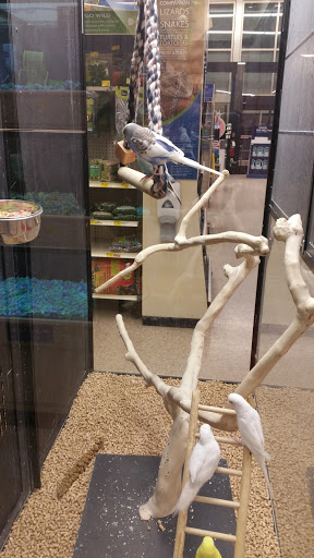 Pet Supply Store «PetSmart», reviews and photos, 2026 Lincoln Way E, Massillon, OH 44646, USA