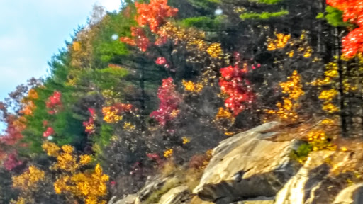 State Park «Cochituate State Park», reviews and photos, 43 Commonwealth Rd, Natick, MA 01760, USA