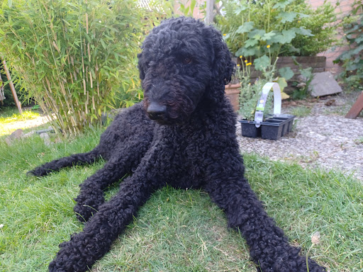 Albrecht Meyer-Breckwoldt Tierarzt unter Quickborn, 