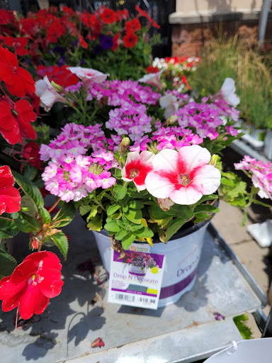 Home Improvement Store «The Home Depot», reviews and photos, 2600 S Lapeer Rd, Lake Orion, MI 48360, USA