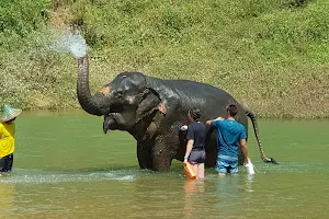 Thongsuk Elephant Camp image