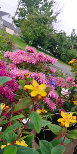 Grocery Store «Grasso Girls Farm Market», reviews and photos, 353 Wolfert Station Rd, Mullica Hill, NJ 08062, USA