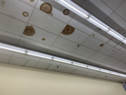 Pet Supply Store «Petco Animal Supplies», reviews and photos, 10464 Baltimore Ave, Beltsville, MD 20705, USA