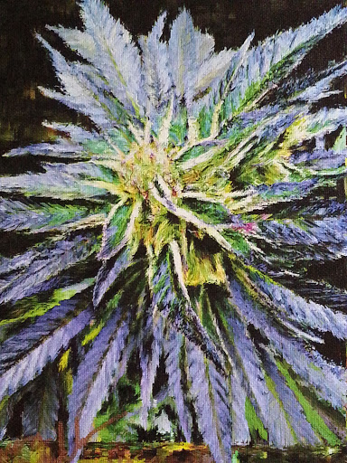 Tobacco Shop «Green Daze Glass & Smoke Shop», reviews and photos, 10323 SE Mill Plain Blvd, Vancouver, WA 98664, USA