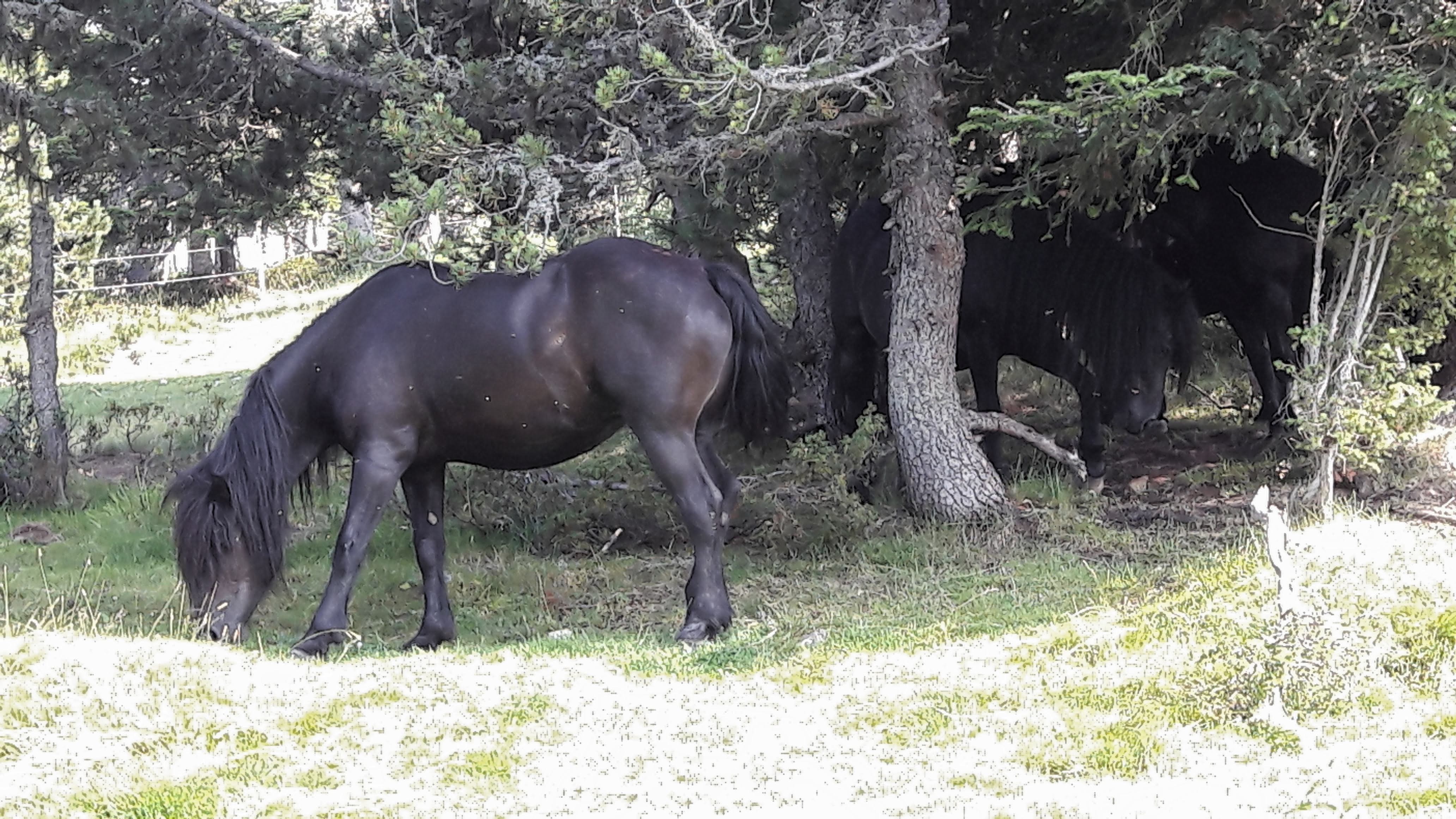 Photo n° 1 de l'avis de Bernadette.a fait le 01/08/2018 à 19:25