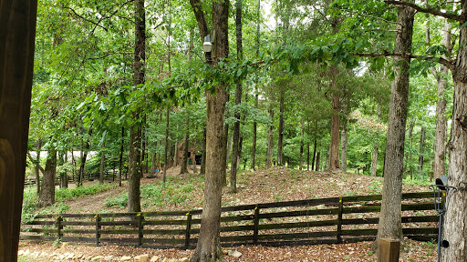 Winery «Cat-n-Bird Winery», reviews and photos, 11661 Old Hwy 280, Chelsea, AL 35043, USA