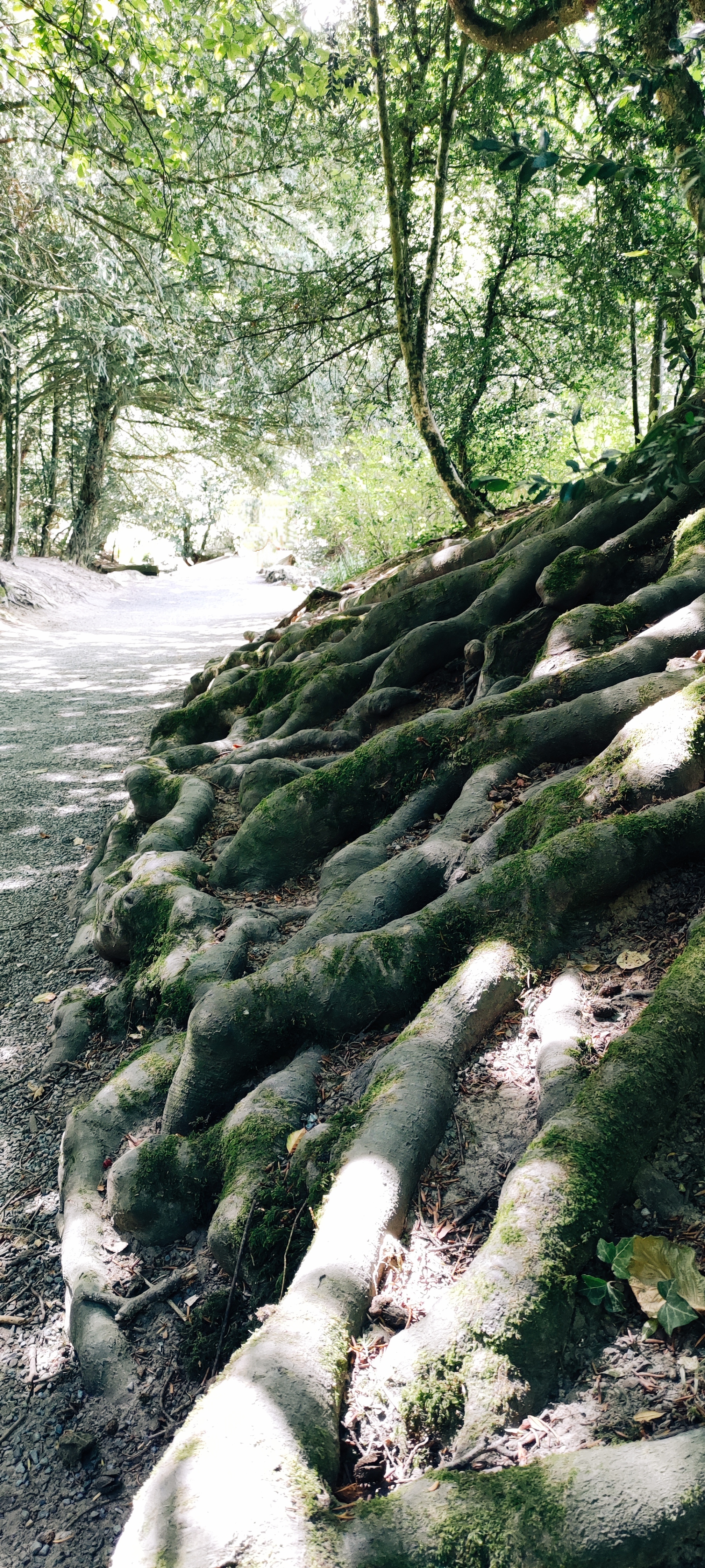 Photo n° 7 de l'avis de Florence.u fait le 06/08/2022 à 18:14