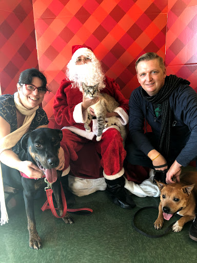 Pet Supply Store «Petco Animal Supplies», reviews and photos, 30697 US Hwy 19 N, Palm Harbor, FL 34684, USA