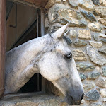 Photo n°4 de l'avis de Pompilio.e fait le 31/08/2019 à 18:29 sur le  Il Mulino Di Mattie à Mattie