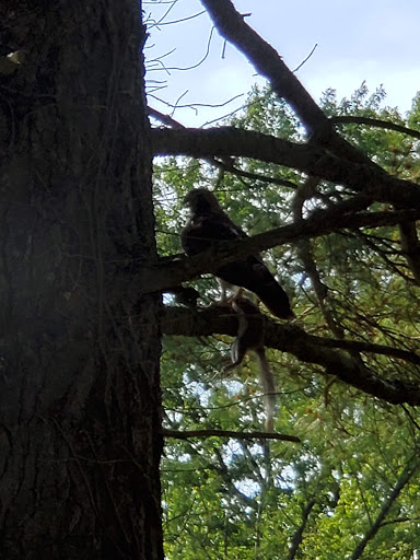 Country Club «Ramblewood Country Club», reviews and photos, 200 Country Club Pkwy, Mt Laurel, NJ 08054, USA