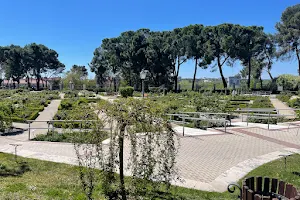 Rosaleda del Parque del Oeste image