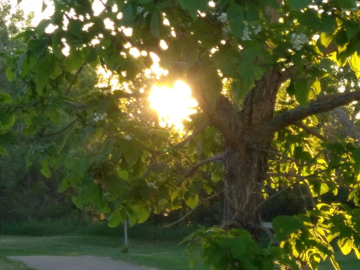 Park «Vanderbilt Park», reviews and photos, 855 S Platte River Dr, Denver, CO 80223, USA