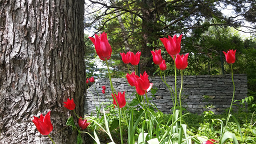 Nature Preserve «Audubon Greenwich», reviews and photos, 613 Riversville Rd, Greenwich, CT 06831, USA