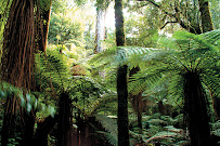 Neuseeland Reisen und Touren - Nelson