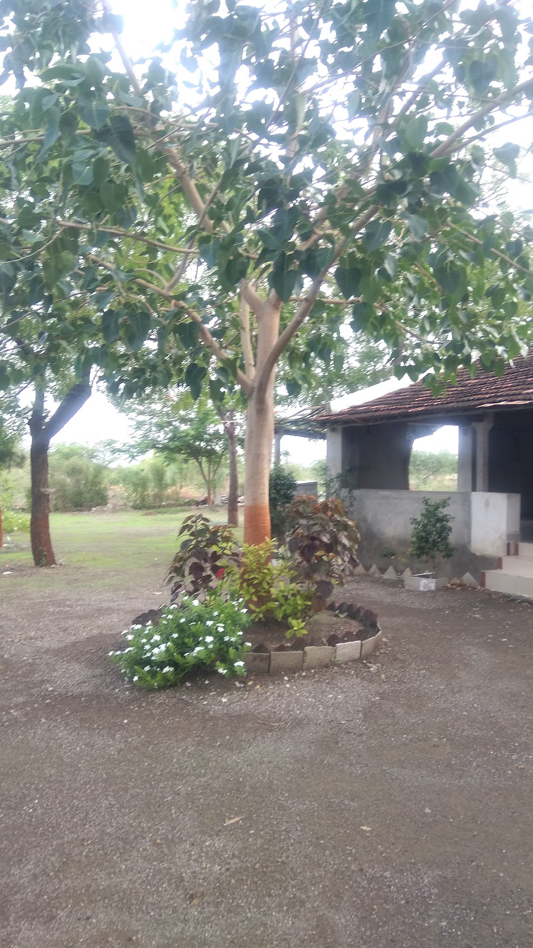 શ્રી પરમાર પરીવાર (લતીપરા રાજપૂત સમાજ) નો મઠ