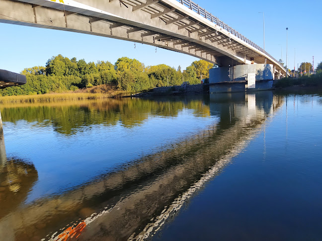 Puente Caucau - Valdivia