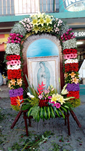FLORERÍA ORQUÍDEA – San Agustín Tlaxiaca