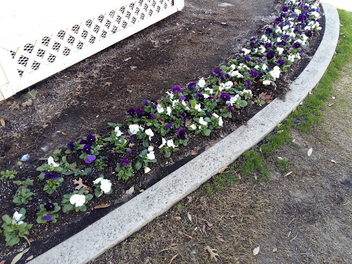 Community Center «Roanoke Community Center», reviews and photos, 312 S Walnut St, Roanoke, TX 76262, USA