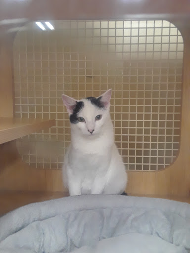 Pet Supply Store «Petco Animal Supplies», reviews and photos, 1500 N Town E Blvd, Mesquite, TX 75150, USA