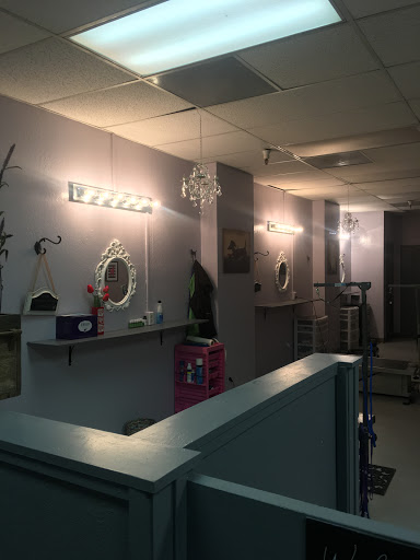 Pet Groomer «Spoiled Petz Pet Store and Grooming», reviews and photos, 12030 Donner Pass Rd #1, Truckee, CA 96161, USA