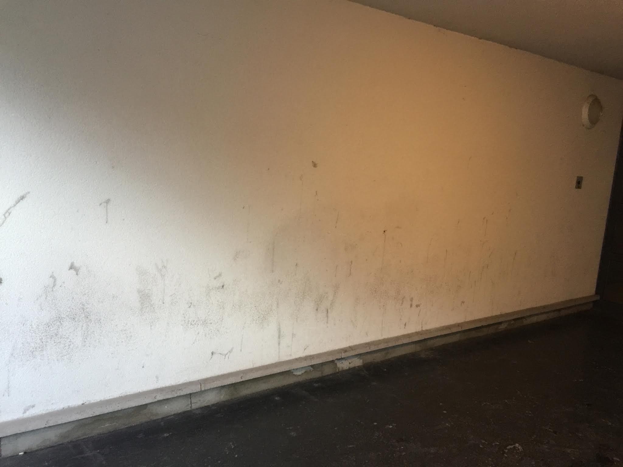 Photo n° 9 de l'avis de Joaquim. fait le 11/02/2020 à 17:51
