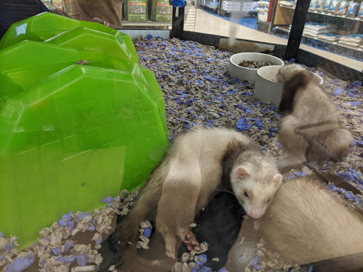 Pet Supply Store «Petco Animal Supplies», reviews and photos, 7907 State Highway N, Dardenne Prairie, MO 63368, USA