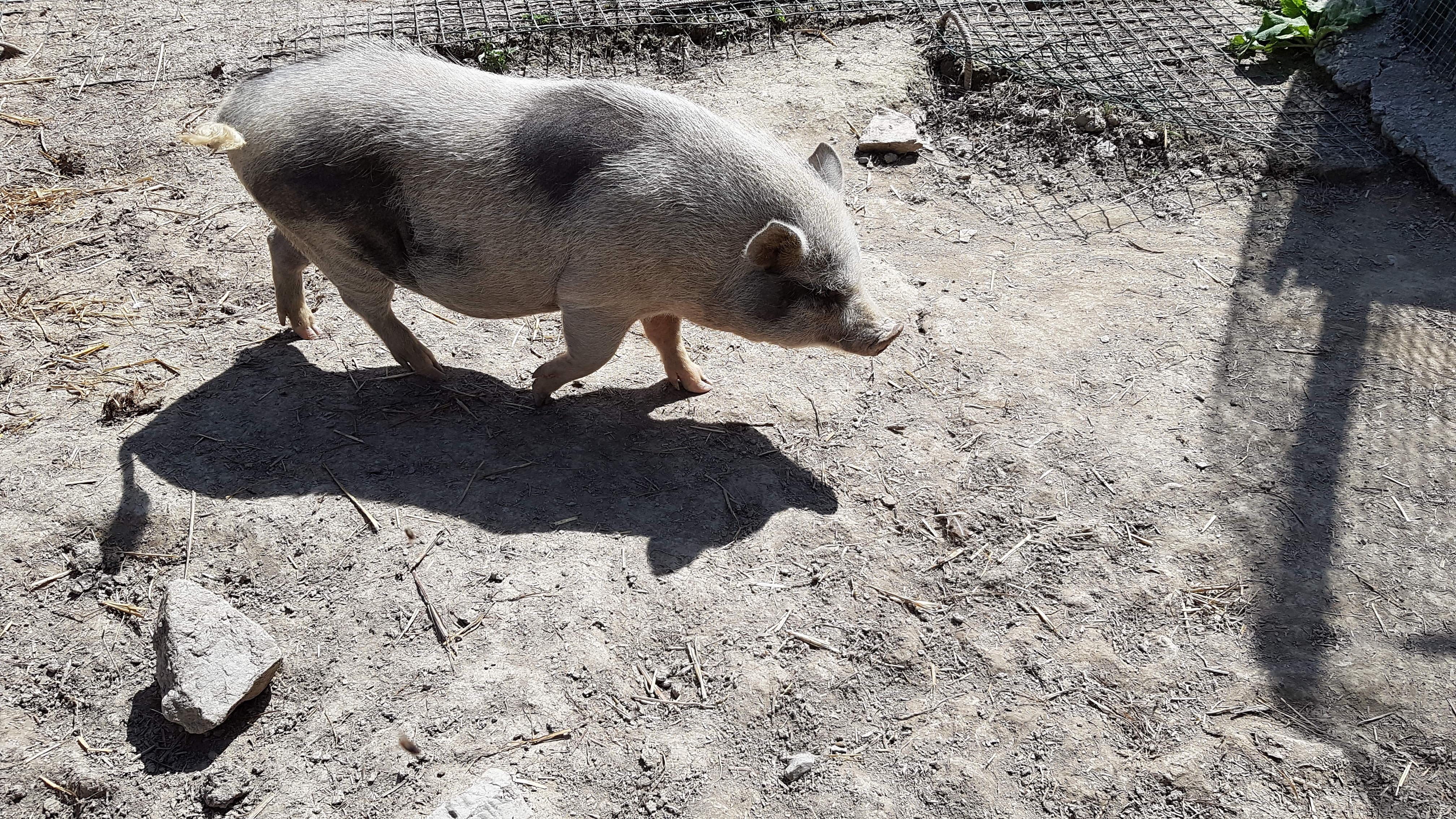 Photo n° 4 de l'avis de TonTon.e fait le 26/08/2018 à 21:52