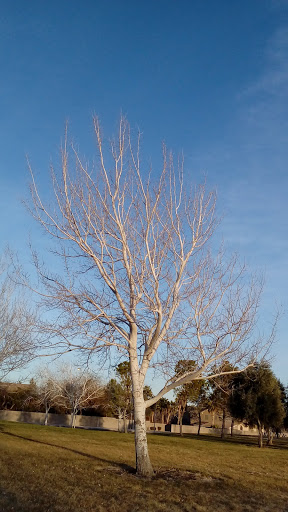 Park «Mountain Crest Park», reviews and photos, 4701 N Durango Dr, Las Vegas, NV 89129, USA