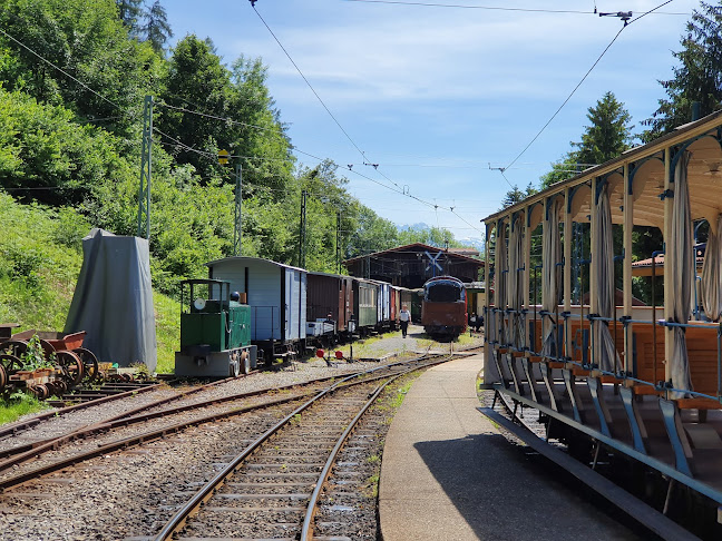 Kommentare und Rezensionen über Museumsbahn Blonay–Chamby