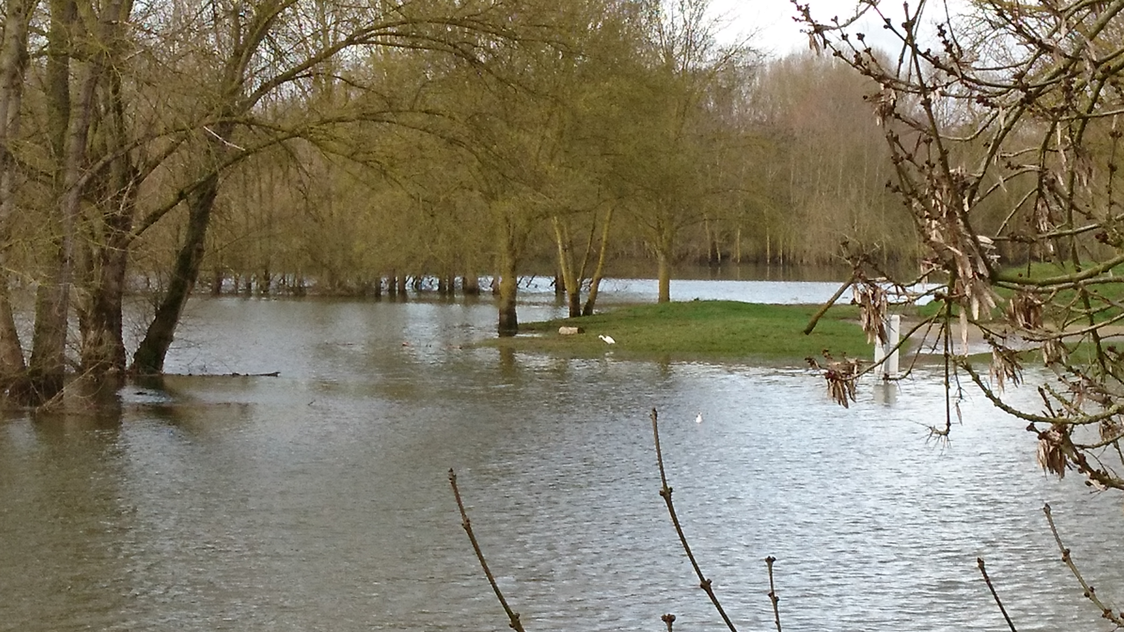 Photo n° 4 de l'avis de Jean.a fait le 30/01/2018 à 11:20
