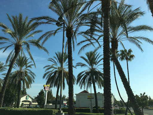 Bakery «Krispy Kreme Doughnuts», reviews and photos, 2809 W March Ln, Stockton, CA 95219, USA