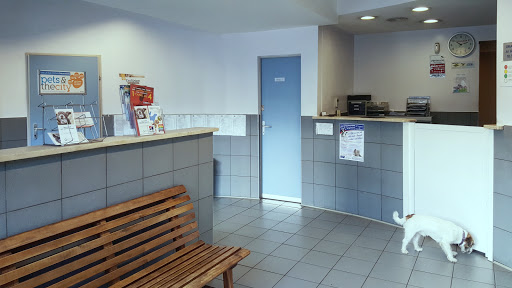 Pensioni per cani e dog hotel a Clinica Veterinaria Etiopia srl