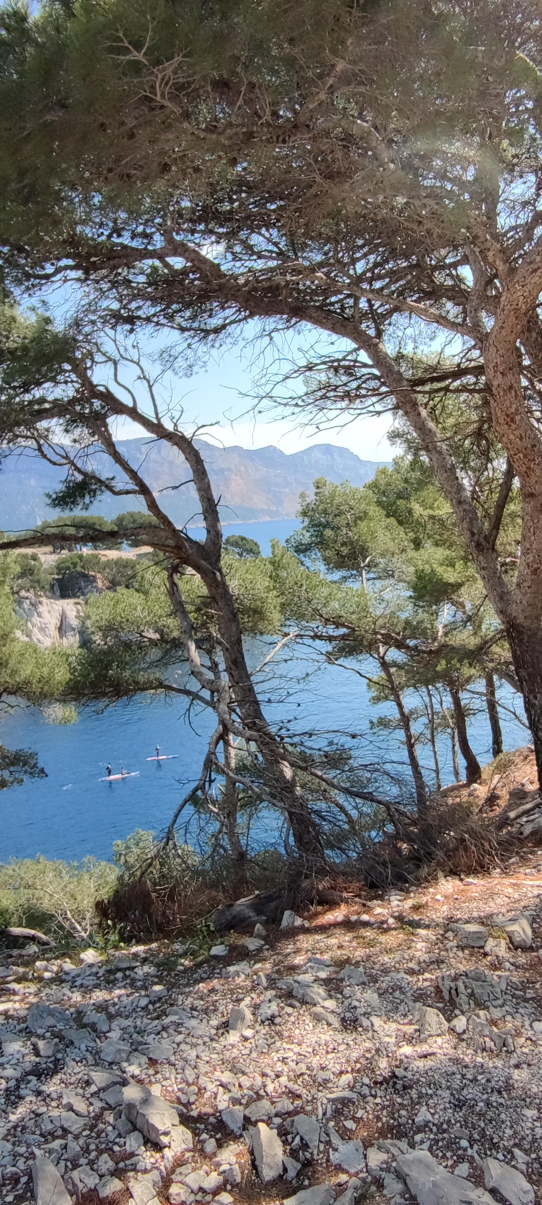 Photo n° 19 de l'avis de Stephane.e fait le 28/04/2021 à 04:56