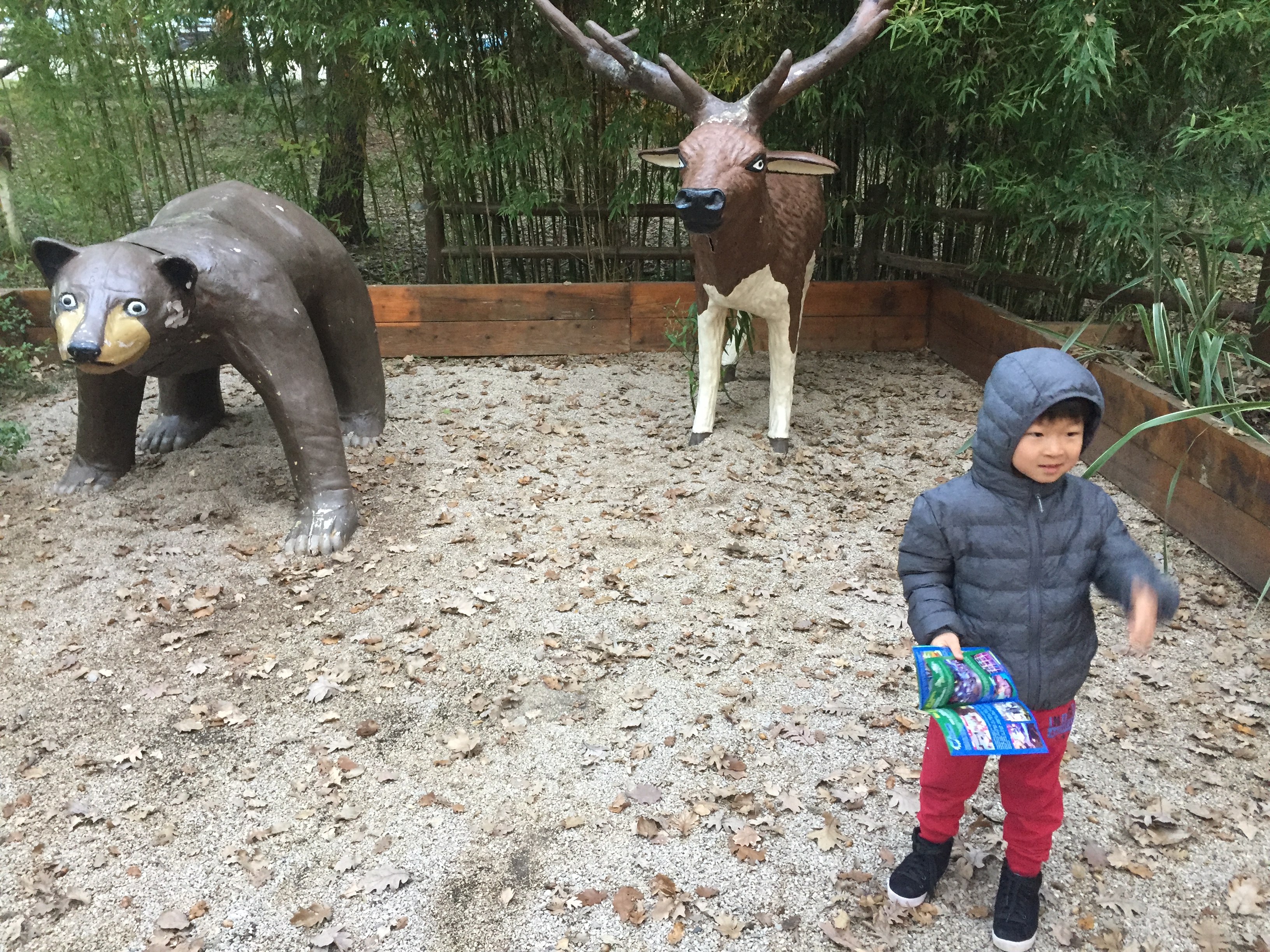 Photo n° 6 de l'avis de Woosuk. fait le 21/12/2019 à 09:12