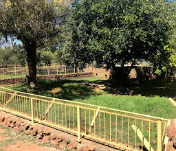 Bloemfontein Zoo photo