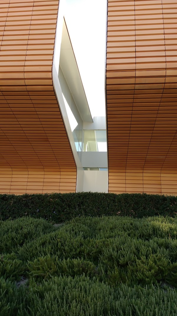 Imagen de Centro de Magisterio LA INMACULADA (15 de 16)