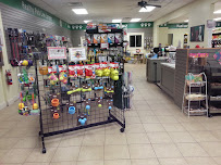 Natural Pawz - Photo 1 - Car repair in The Woodlands, TX, The Woodlands