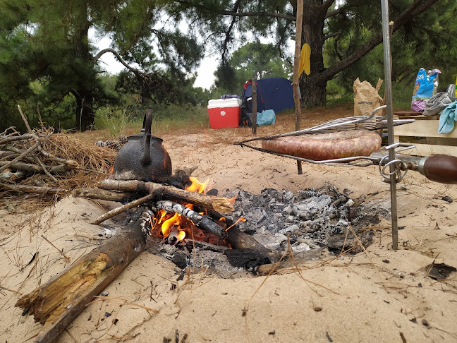 Camping El Pinar - Camping