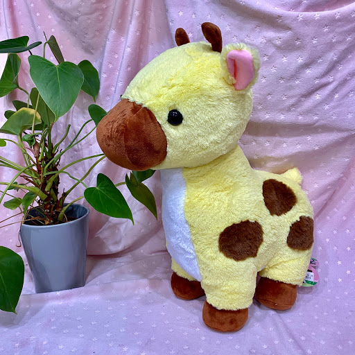 Gift Shop «Kawaii Gifts», reviews and photos, 5413 Walnut St, Pittsburgh, PA 15232, USA