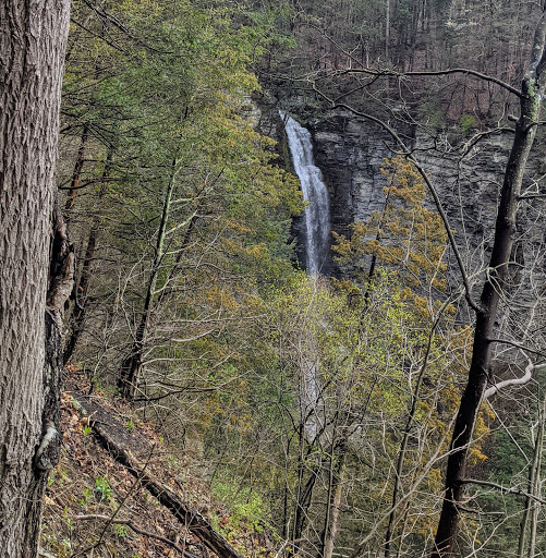 Nature Preserve «Sweedler and Thayer Preserves», reviews and photos, 10 Townline Rd, Ithaca, NY 14850, USA