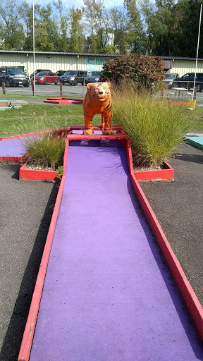 Roller Skating Rink «Skate Estate», reviews and photos, 3401 Vestal Rd, Vestal, NY 13850, USA