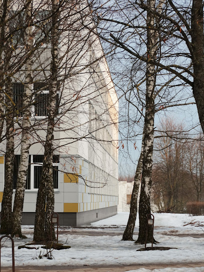 Vilniaus Žaros gimnazija